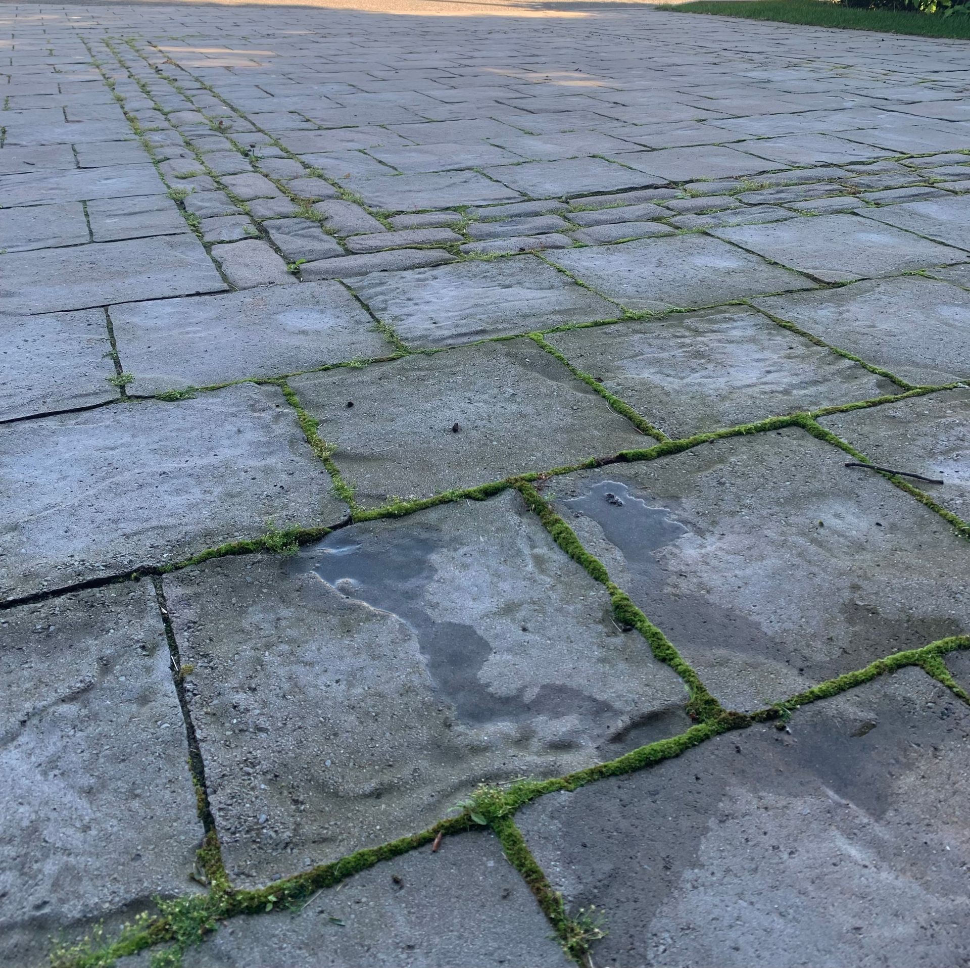 Lavage de pavé uni 